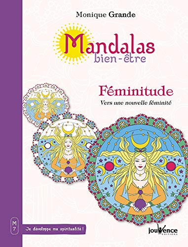 Télécharger Féminitude, vers une nouvelle féminité Livre eBook France