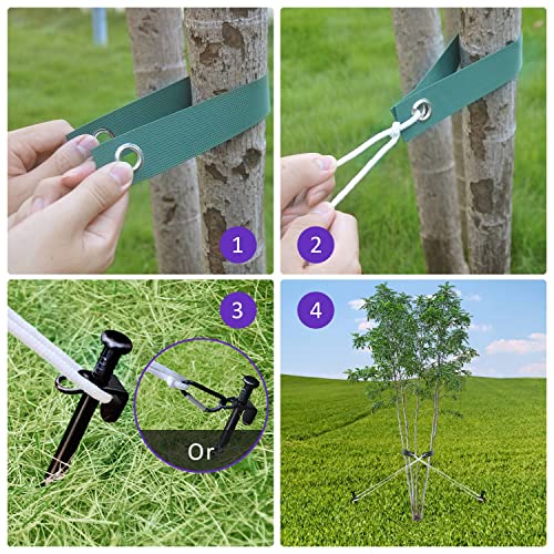 Heavy Duty Steel Tree Stake Kits,Tree Staking And Supports Kits For Young Trees Against Bad Weather, Include 3 Pcs Tree Straps For Staking, 3 Pcs 11.8 Inch Tree Stakes And 31.2 Feet Rope For Anchoring #TOP1