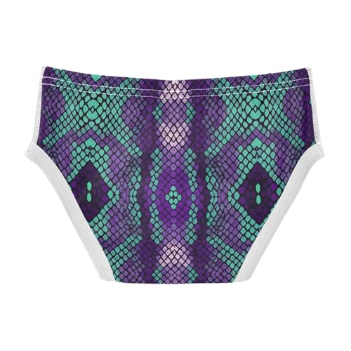 Purple Turquoise Snake Skin Toddler Boy's Underwear 2T 202c14152