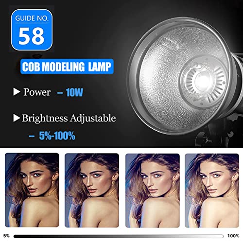 Godox 2pcs MS300V 600W Studio Strobe Flash Light Kit,2.4G Bowens Mount Lighting Flash GN58 5800K with AT-16 Trigger,Light Stands,Softboxes,Umbrella,Reflector,Carry Bag for Portrait Product Photography