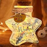 Leboria Wunscherfüller Geldgeschenk, Wunscherfüller Weihnachten mit LED-Licht, Flaschenlicht Sternflasche mit Korken Kleine Karte Aufkleber Glitzer, Geldgeschenke Geburtstag Taufe Firmung Hochzeit