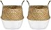 Lawei, 2 cestini per piante in alghe marine intrecciate, con manici per vasi di piante, lavanderia, generi alimentari, colore bianco (M)