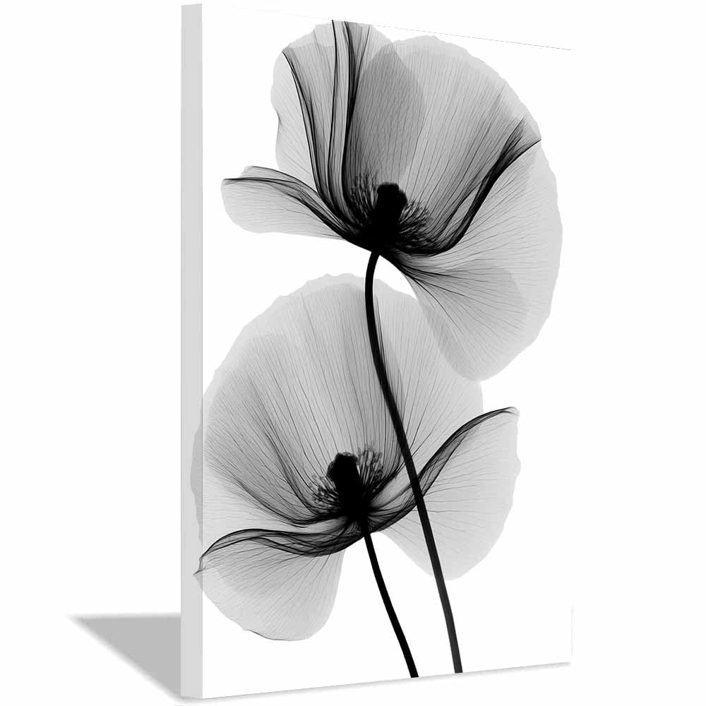HOQIU Black And White Posters X-Ray Poppy Bloomsss canvas wall art, decorative paintings, for Bedroom Living Room Bathroom Office Home Decoration(Multicolor)-60x80cm Framed