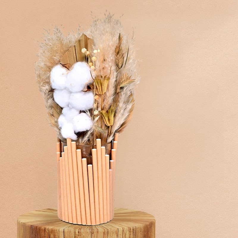 Cortina Preserved Dried Flowers for Wall Decor | Aesthetic Room Decor, Home Decor, Living Room Decor & Bedroom Decor | Great for Christmas Gifting - Brown & White - 18.5x9x35 CM-image-41
