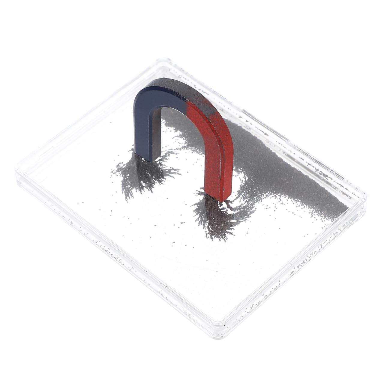 Attrezzature di laboratorio di fisica Dimostratore magnetico Ferroso Set per esperimenti scientifici