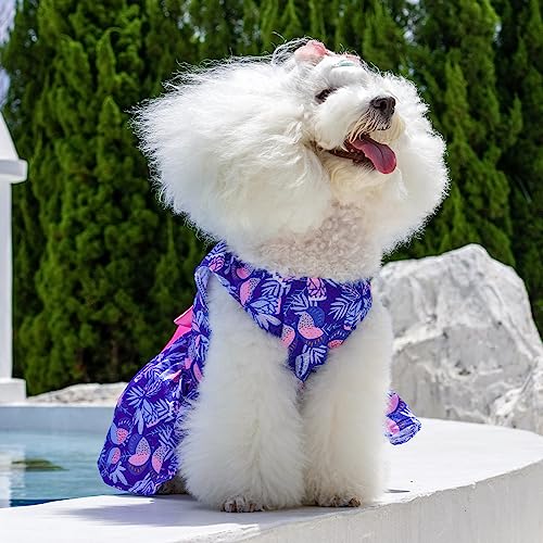 Image of CuteBone Dog Mesh Dress Puppy Sundress Pet Outfit Summer Fashion for Small Dogs Girl Cat Clothes