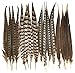 Pheasant Tail Feather Mix (16-18