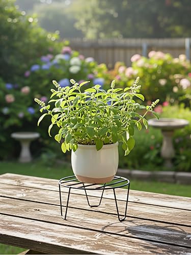 Image of Heavy Duty Stainless Steel Trivet Stand | Heat Resistant Pot Holder | Durable Kitchen Rack for Hot Utensils