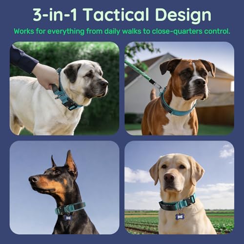 Image of Premium Tactical Dog Collar - Adjustable Military Heavy Duty Dog Collar for Medium Large Dogs - Durable Metal Buckle Dog Collar with Leather Control Handle and Soft Comfortable Padding