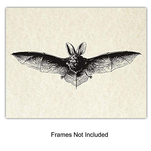 Yellowbird Art & Design Gothic Bats Wall Decor Pictures thumb #2
