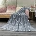 talever Kid Blanket Super Plush Throw Blanket Cartoon Print Kids Adults Character Lightweight Coral Fleece Blanket Size 59x78 inches (Frozen)