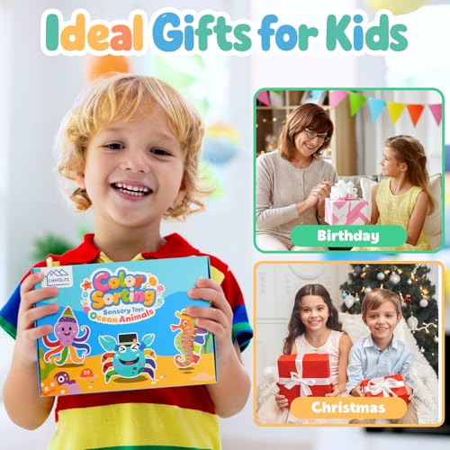 Image of 3PCS Color Sorting Toys for Toddlers, Montessori Sensory Toys Preschool Learning Activities Fine Motor Skills Fidget Quiet Educational Gift for Kids Age 3+
