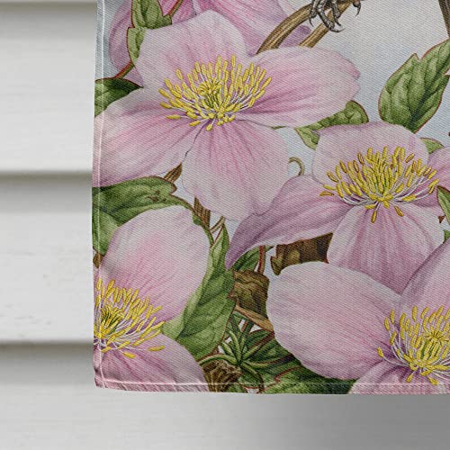 Drapeau de maison Caroline's Treasures ASA2088CHF grand format multicolor - 5