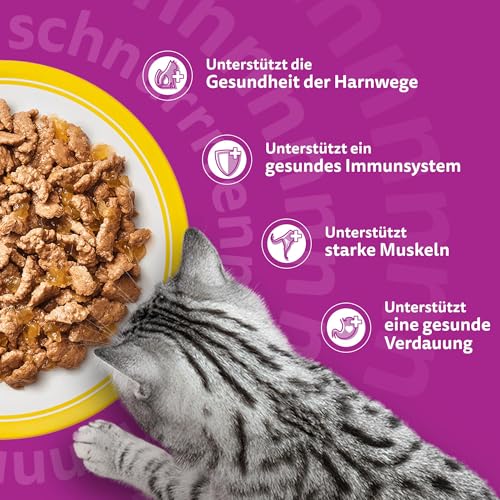 Whiskas 7+ Katzenfutter Geflügel Auswahl in Gelee, 12x85g (4 Packungen) – Hochwertiges Nassfutter ab dem 7. Lebensjahr in 48 Portionsbeuteln – Für die Bewahrung der Vitalität 5