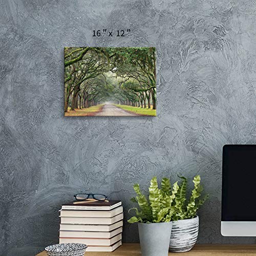 Oak Tree Canvas Wall Art: Green Landscape Artwork Forest Picture Painting Small Size For Bathroom (16'' X 12'' X 1 Panel) #TOP2