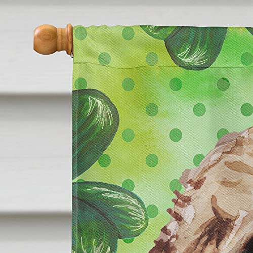 Drapeau Cockapoo marron Saint-Patrick Caroline's Treasures BB9549CHF grande taille multicolore