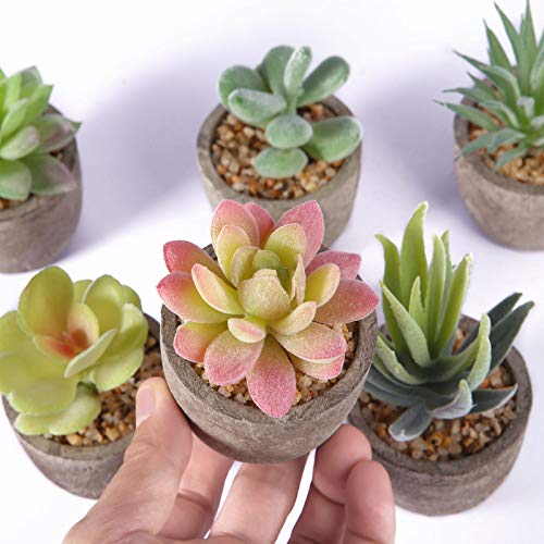 Succulentes Artificielles,6pcs Plante Artificielle Interieur Petite Plante Artificielles Succulentes Artificiels Succulents Fausses Plantes Vertes Décoration Mini Plantes Grasses artificielles en Pot