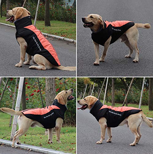 Idepet Hund Mantel Warme Jacke, Reflektierender Haustier-Schneeanzug Sport im Freien wasserdichte Hundekleidung Outfit-Weste für mittelgroße Hunde mit Gurtloch