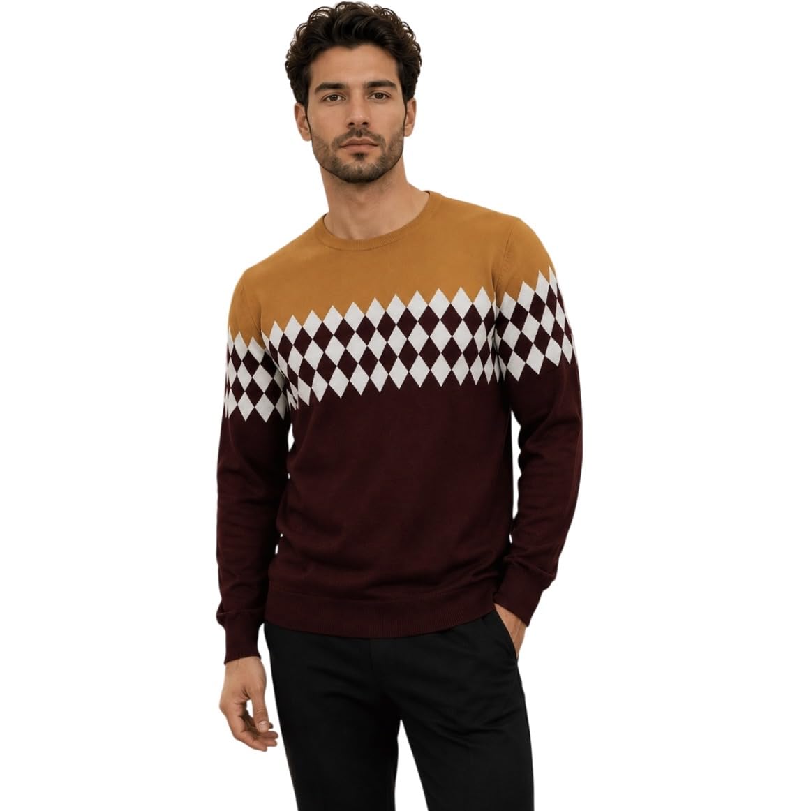 chandre Men's Crew Neck Knit Sweater, Full Sleeve, Casual Winter Pullover-picture-26