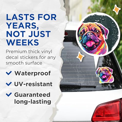 View 4