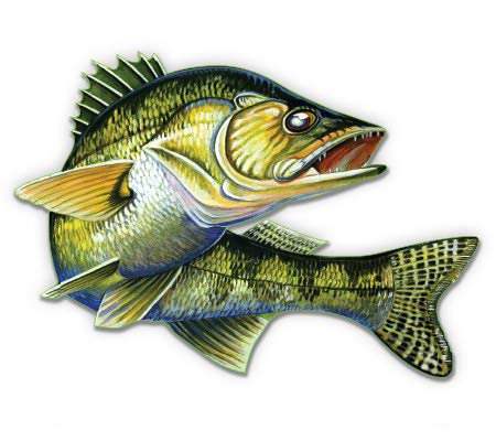 GT Graphics Express Walleye - 20