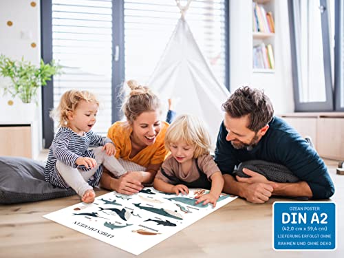 kizibi® Unterwasserwelt Lernposter für Kinderzimmer - Detailliertes DIN A2 Poster des Meeres & Ozeans mit 14 illustrierten Meeresbewohnern - Perfekt für Bildung & Dekoration