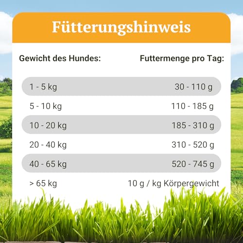 Bellfor Naturfarm-Schmaus Hypoallergenes Getreidefreies Hundetrockenfutter mit Insekten mit hoher Verdaulichkeit ohne tierische Nebenerzeugnisse 2,5 kg