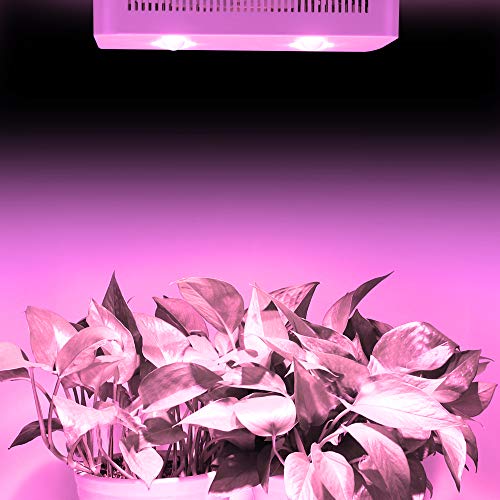 3 Pack LED Indoor Plant Grow Light Bulb A19 Bulb, Full Spectrum Plant Light Bulb, 9W E26 Grow Bulb Replace up to 100W, Grow Light for Indoor Plants, Flowers, Greenhouse, Indore Garden, Hydroponic