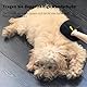 Vauki 2 Stück Fellmagnet Handschuhe für Katzen & Hunde - Elektrostatische Fellpflege Handschuh mit Massage-Noppen, Hypoallergen & Wiederverwendbar (Haarentfernung bei Bürsten & Streicheln)-A