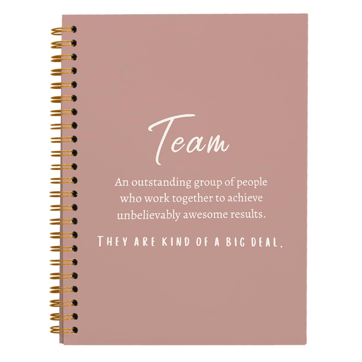 hold fizz Pink Meeting Notebook for Work, Employee Appreciation Gifts, Team Gifts for Employees, Journals for Writing, Thank You Gifts for Women Men Leader Boss Mentor Manager Coworkers, 5.5"x8.3"