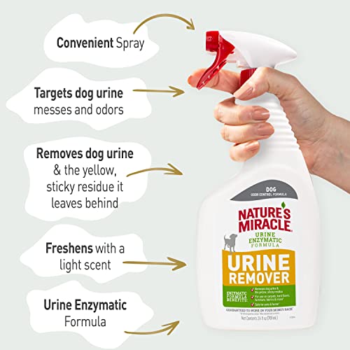Image of Nature's Miracle Dog Urine Remover, Enzymatic Cleaner, 24 oz