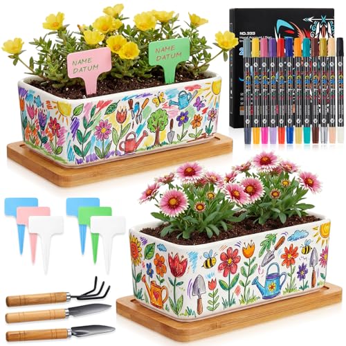 Hestya Set de Pintura de Cerámica DIY 2 Macetas Blancas de Cerámica con 2 Palets 12 Rotuladores de Porcelana en 24 Colores Palas de Jardín Letreros de Jardín Regalos para Familias Parejas (Rectángulo)