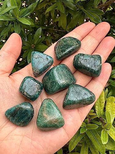 Image of GAF TREASURES 1 /2 LB Apatite Tumbled Stones, Polished Apatite Gemstone, Apatite Healing Crystals (Apatite)