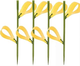 Fruit Fly Sticky Traps, 30 Pcs Sticky Traps with 10 Stakes, Fungus Gnat Trap Gnat Stix Houseplant Traps Flying Insects Yellow Sticky Insect Traps Disposable Glue Traps for Indoor and Outdoor