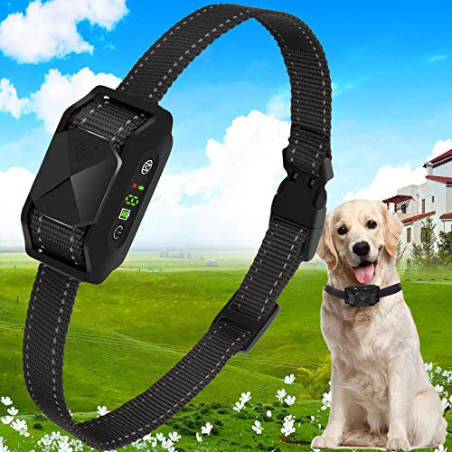 The 11 Best Bark Collar For Chihuahua In 2023 Top Picks & Reviews