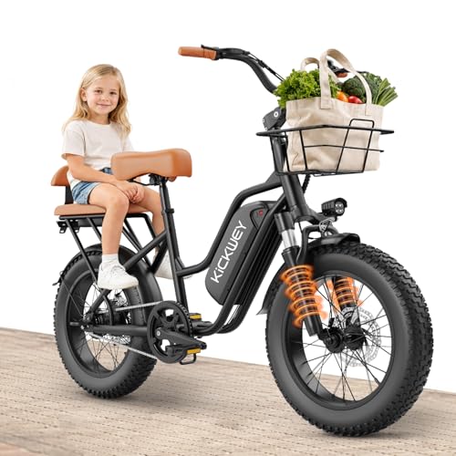 Electric Bike for Adults with 1500W Motor