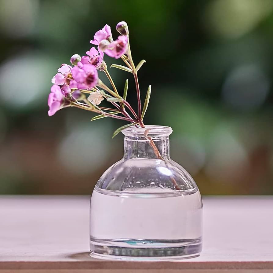 Amazon.co.jp: CHIVE 「ロフト」ガラスつぼ花瓶 花用 – クリア