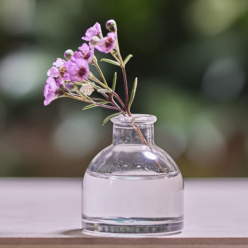 Amazon.co.jp: CHIVE 「ロフト」ガラスつぼ花瓶 花用 – クリアラウンド