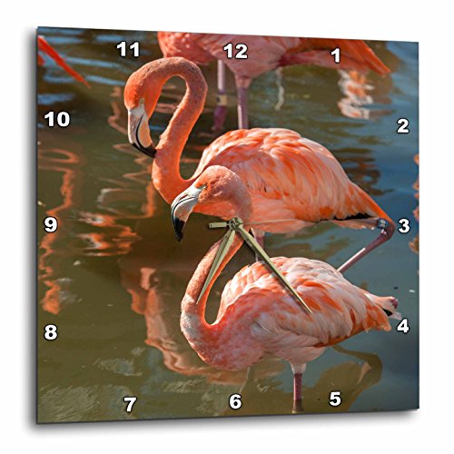 Reloj de pared 3dRose flamencos rosas 15x15 pulgadas miniatura 1