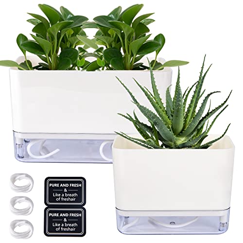 Maceta Colgante De Autorriego JOINPAYA Colgante De Autorriego Jardín Interior Y Exterior Diseño Y Jardinera Colgante Interior Exterior