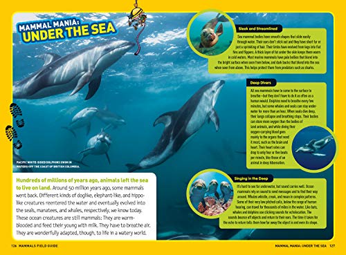 National Geographic Kids 9781426333699 Ultimate Explorer Field Guide: Mammals thumb #2