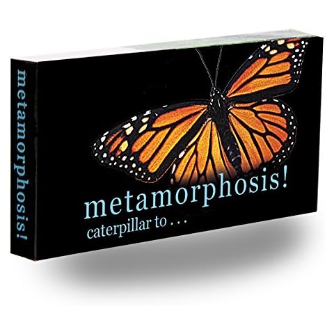 Fliptomania Caterpillar to Monarch Butterfly Metamorphosis Flipbook Cover