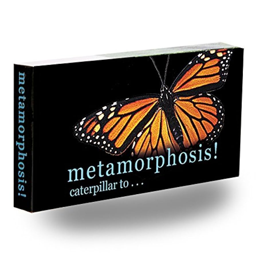 Man, Matter, morphosis アアルト/タピオヴァーラ Man, Matter, morphosis アアルト/タピオヴァーラ Flammole the