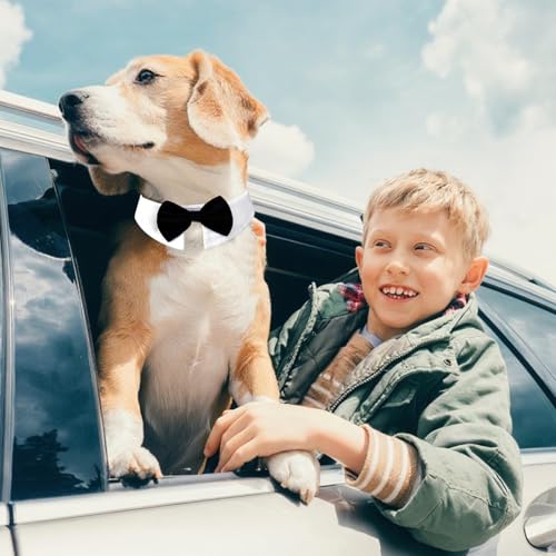 Fliege für Hunde, Hundeanzug Hochzeit Accessoire, Fliege Hund verstellbar, Hunde Fliege für Formelle Anlässe, Hochzeits-Kostüme, Party (L)
