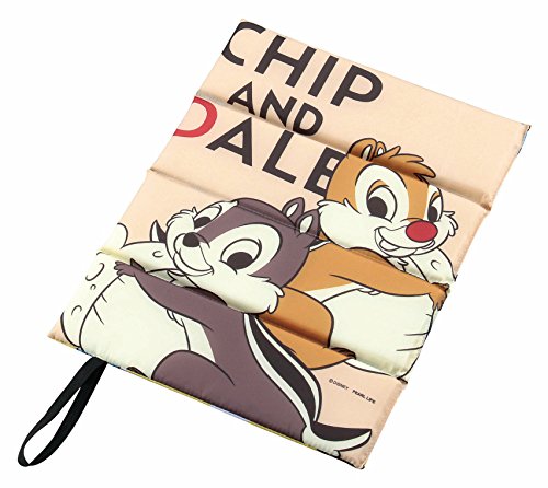 これで十分 中学生向けディズニーに行くときの持ち物リスト お小遣いの金額 小学生高校生も 元ディズニー社員の 人生勝つブロ