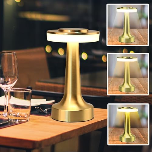 Desidiya® Metal LED Table Lamp with Touch Sensor Rechargeable Des...