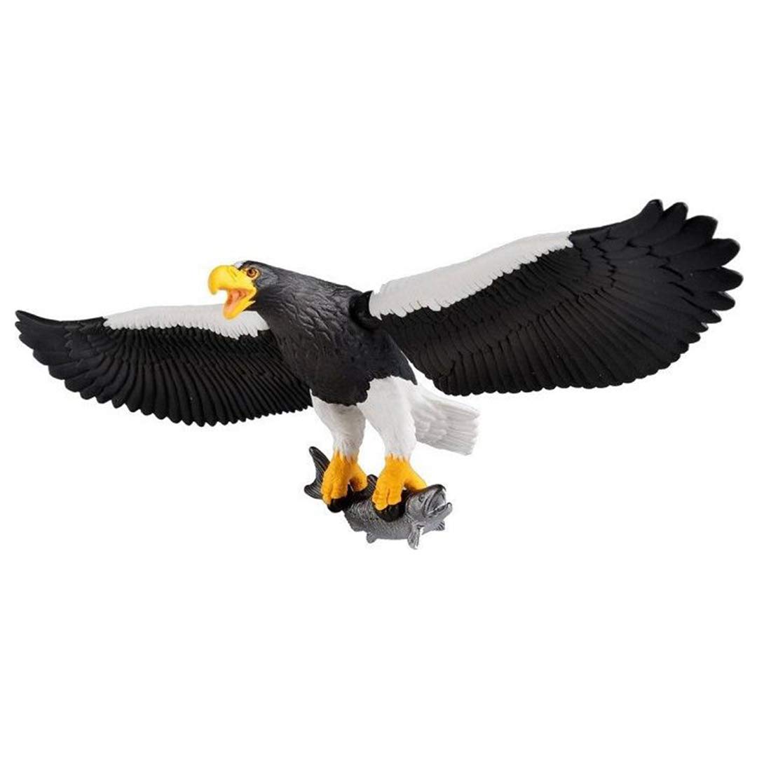Amazon.co.jp: アニア AS-25 オオワシ : Toys & Games