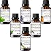 MAJESTIC PURE Aromatherapy Essential Oils Set, Includes Lavender, Peppermint, Lemongrass, Orange, Eucalyptus & Clove Oils - Pack of 6-10 ml Each