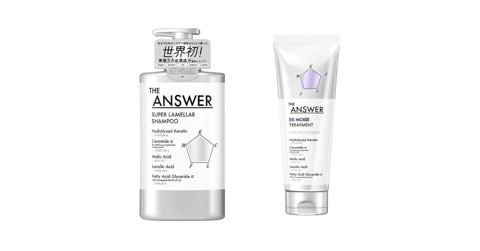 Amazon | THE ANSWER(ジアンサー) 花王100年の研究から