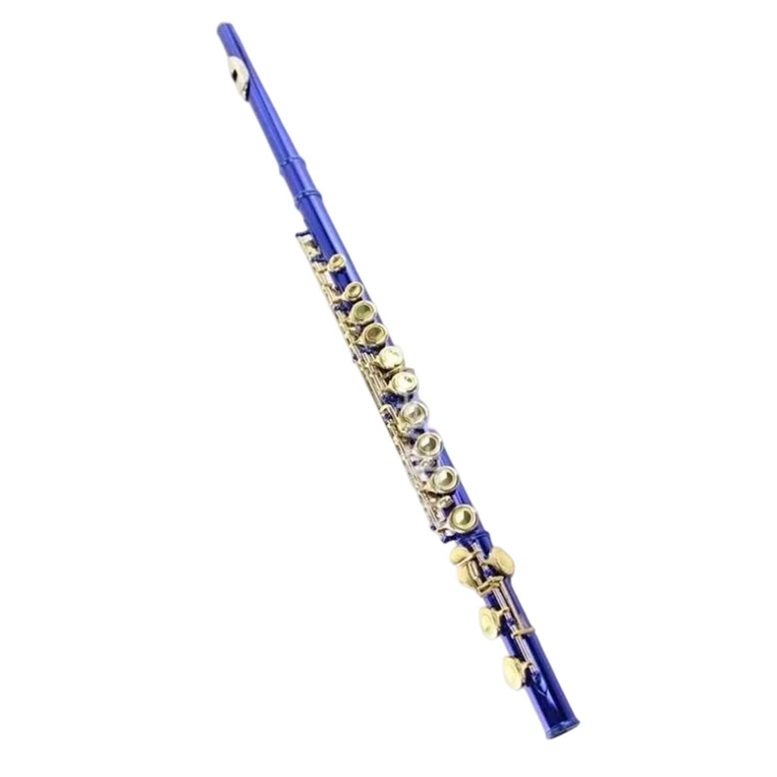 Flute Instruments Profesjonalny flet C z 16 otworami i zamkniętym otworem